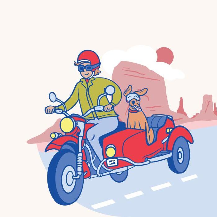 Marine Credit Union summer recreation campaign original illustration showing girl riding a motorcycle with her dog in the sidecar